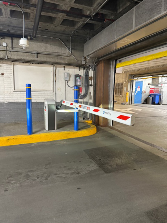 Harvard Sq Cambridge Harvard Sq Cambridge